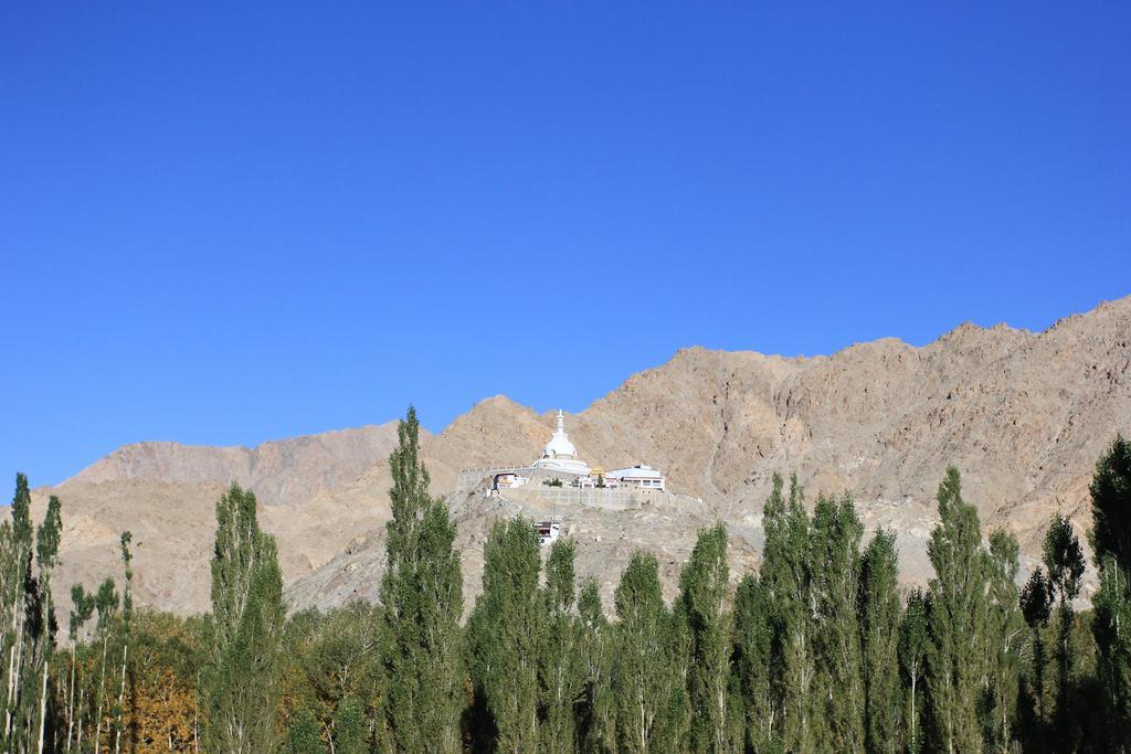 Hotel Nalanda Ladakh Leh Extérieur photo