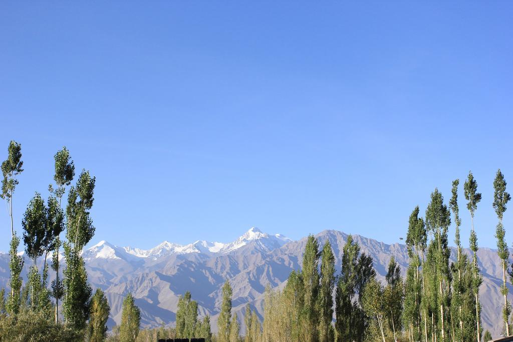 Hotel Nalanda Ladakh Leh Extérieur photo